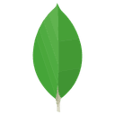 MongoDB icon